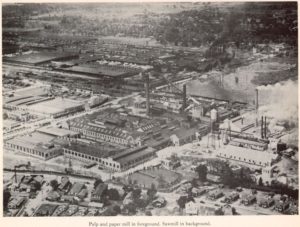https://commons.wikimedia.org/wiki/File:Pulp_and_paper_mill_-_Sawmil(l).jpg