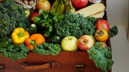 Photo of mesothelioma lawyer briefcase of fruits and vegetables, representing people who ask “can mesothelioma be prevented” and, if not, how those diagnosed with mesothelioma can turn to a mesothelioma lawyer at Nemeroff Law Firm for help fighting for compensation nationwide.