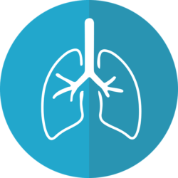 How to Find the Best Mesothelioma Attorney in New Orleans
